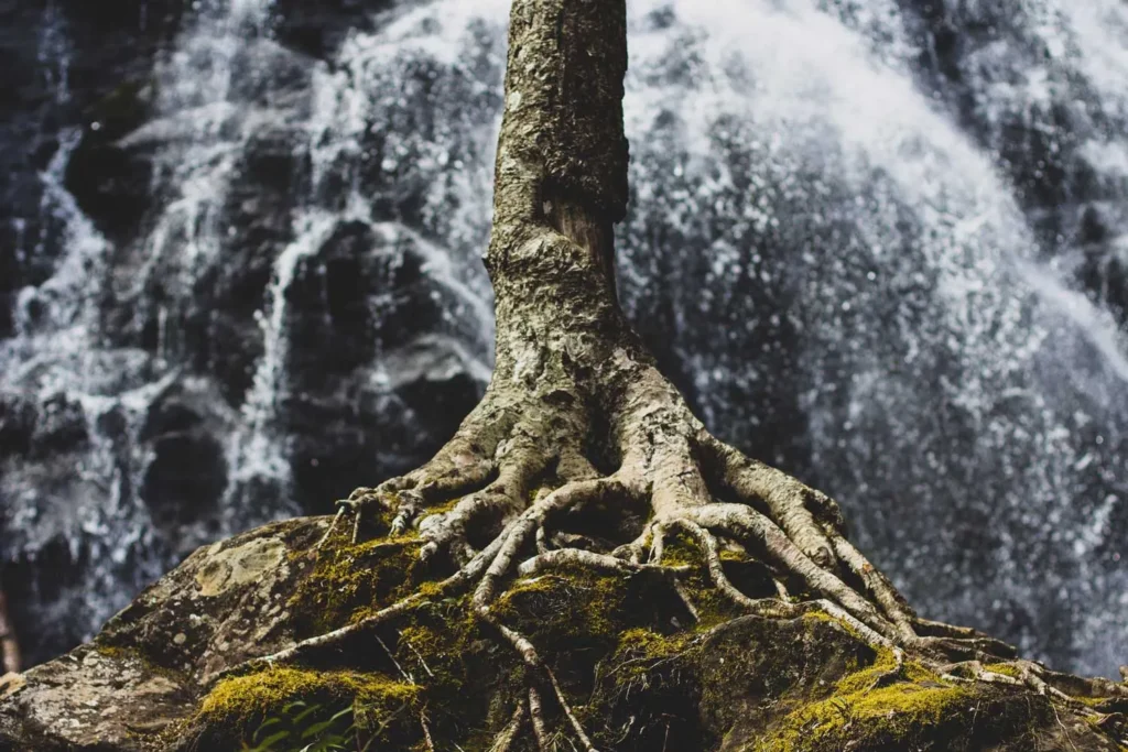 unsplash image hW11fwjzVfA