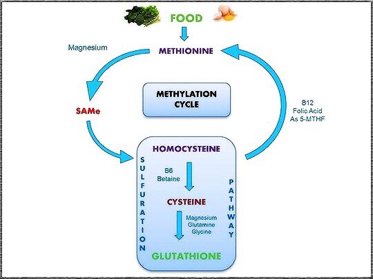 Why Vitamin B12 is important? 1 image 4