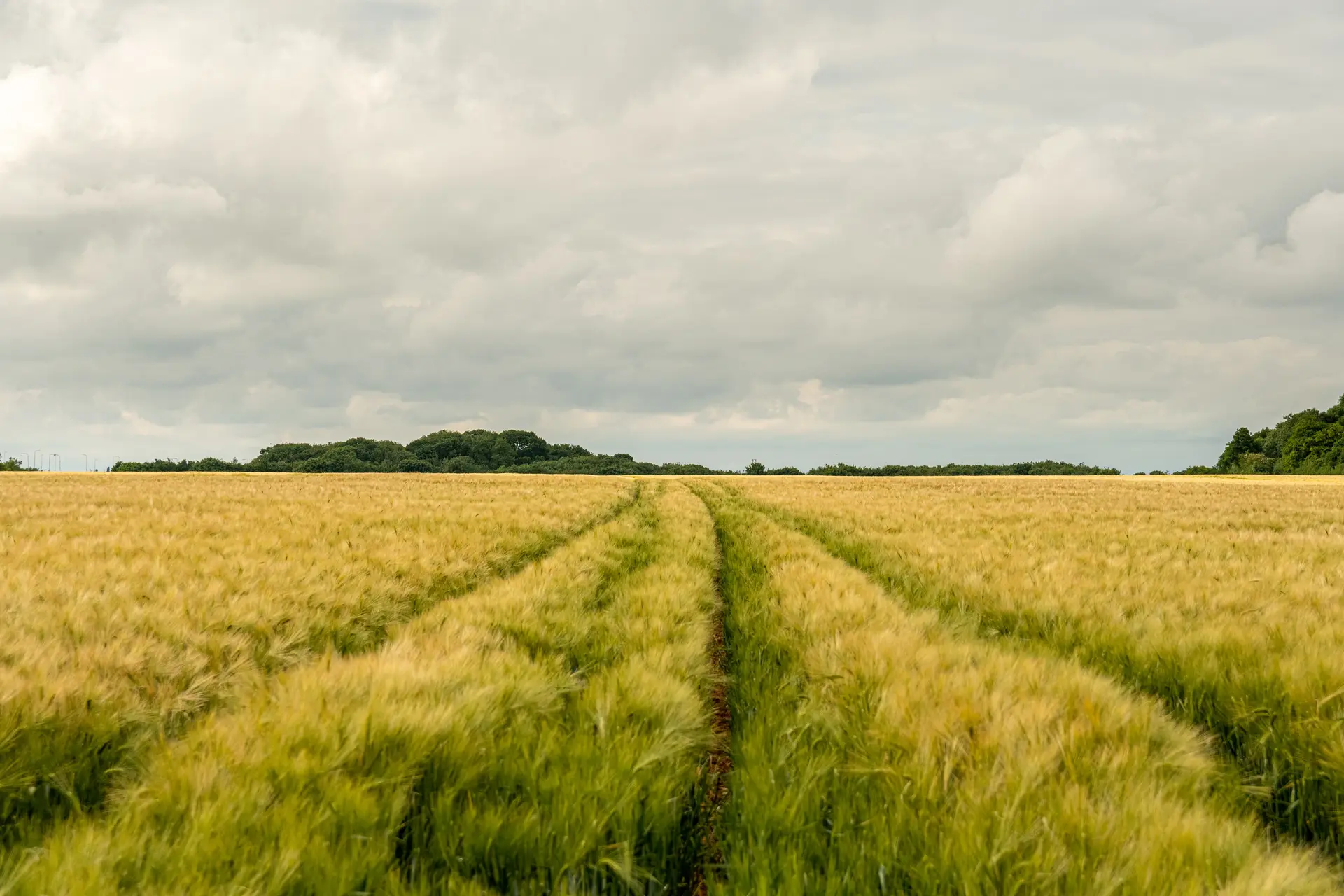 simon godfrey 6kvuZUgnv3U unsplash 1