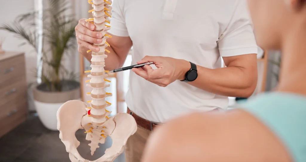 spine-model-healthcare